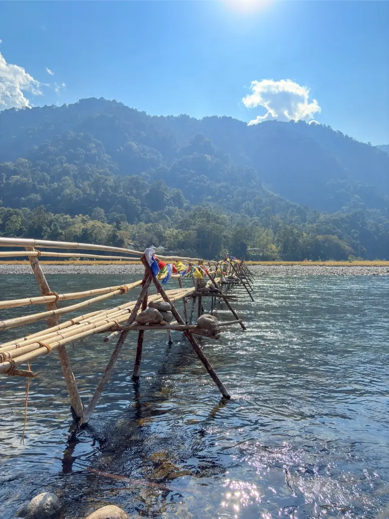 Namdapha National Park image 2