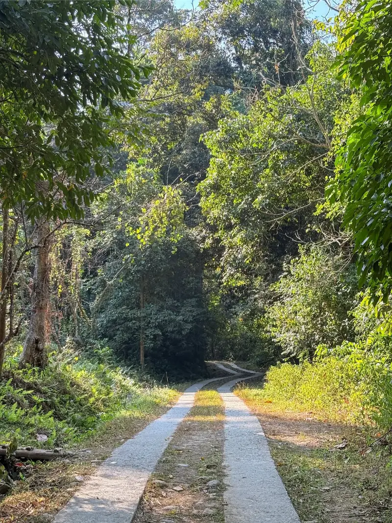 Namdapha National Park image 4