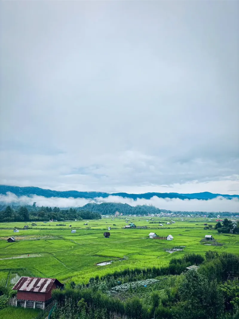 Ziro Valley image 1