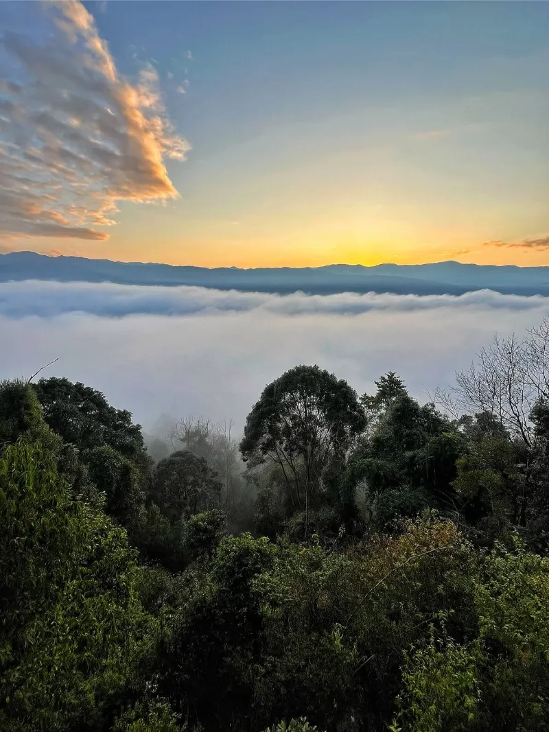 Ziro Valley image 2