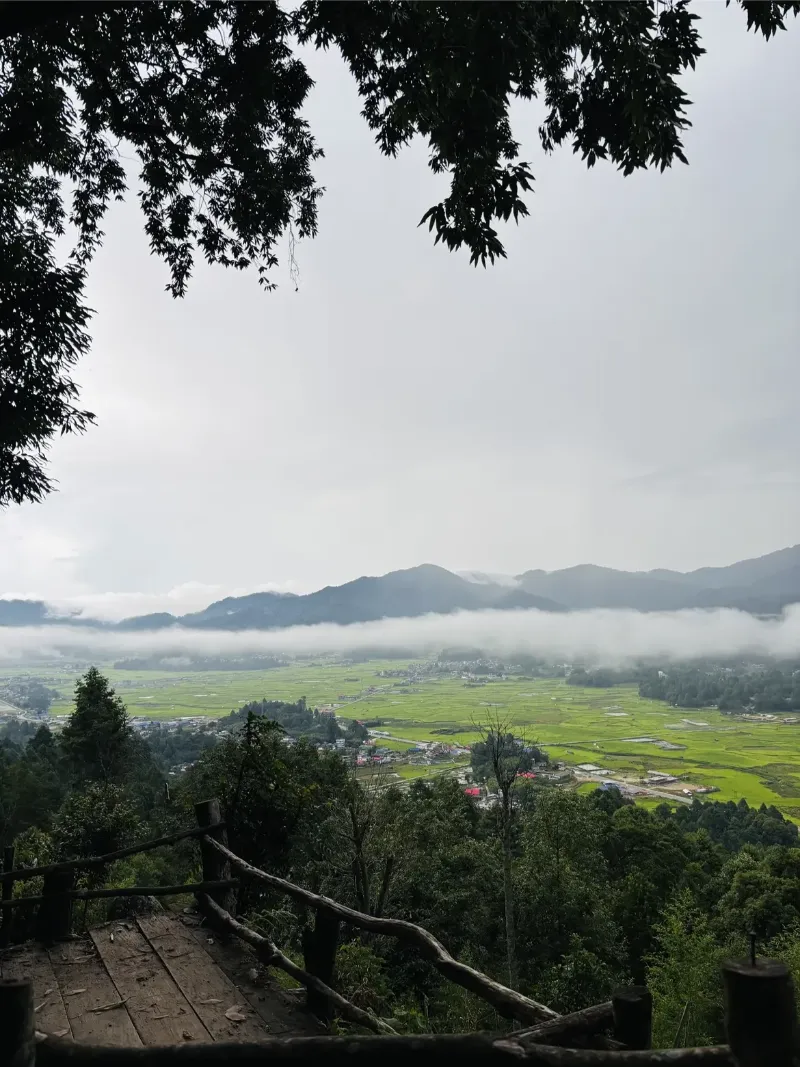 Ziro Valley image 4