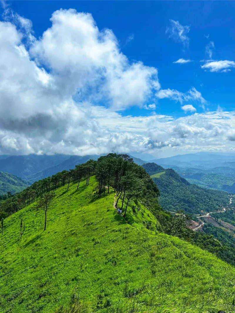 Assam image 2