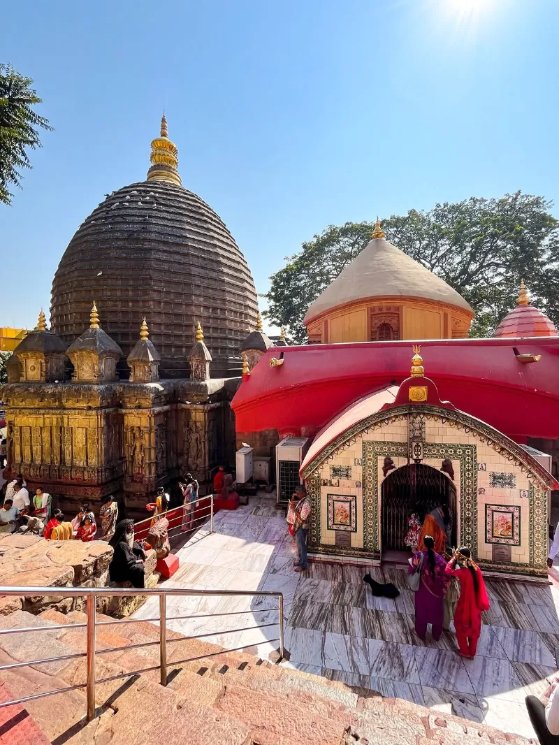 Assam image 4