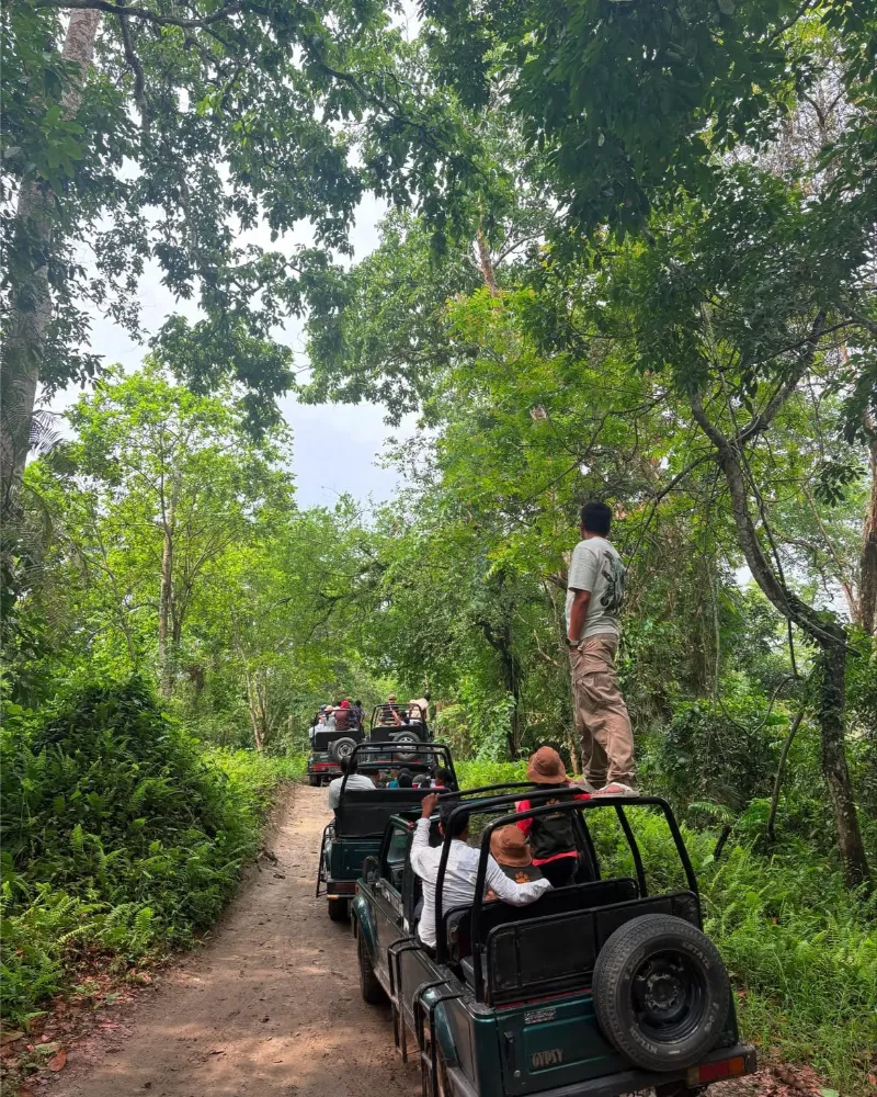 Kaziranga National Park image 3