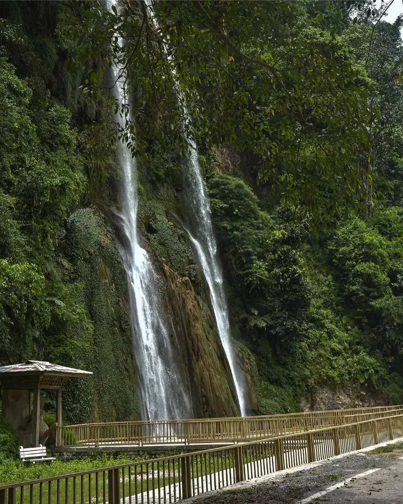Manas National Park image 3