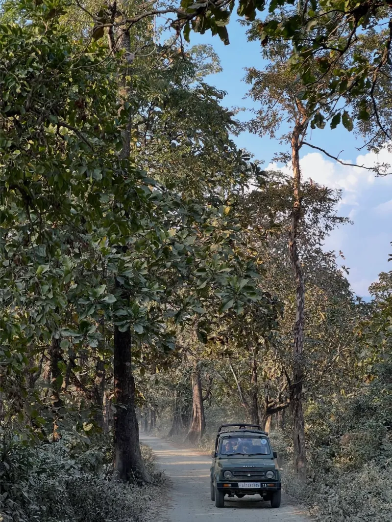 Manas National Park image 4