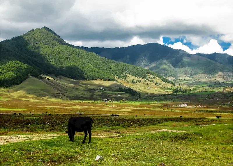 Phobjikha Valley (Gangtey) image 1