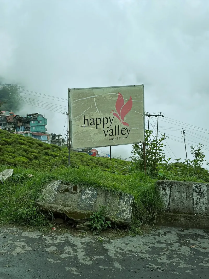 Happy Valley Tea Estate image 3