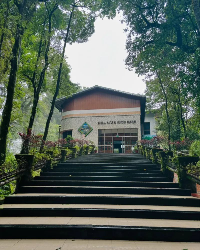 Himalayan Mountaineering Institute (HMI) image 4