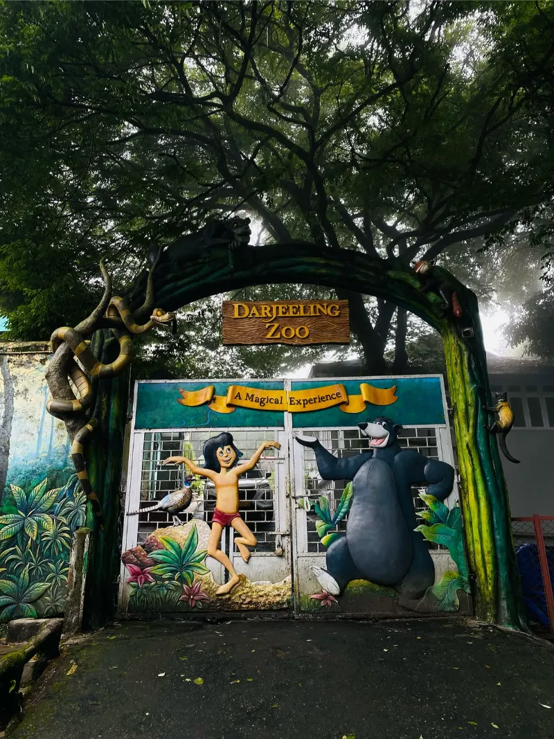 Padmaja Naidu Himalayan Zoological Park image 5