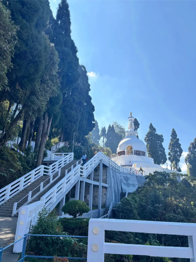 Peace Pagoda & Japanese Temple image 4