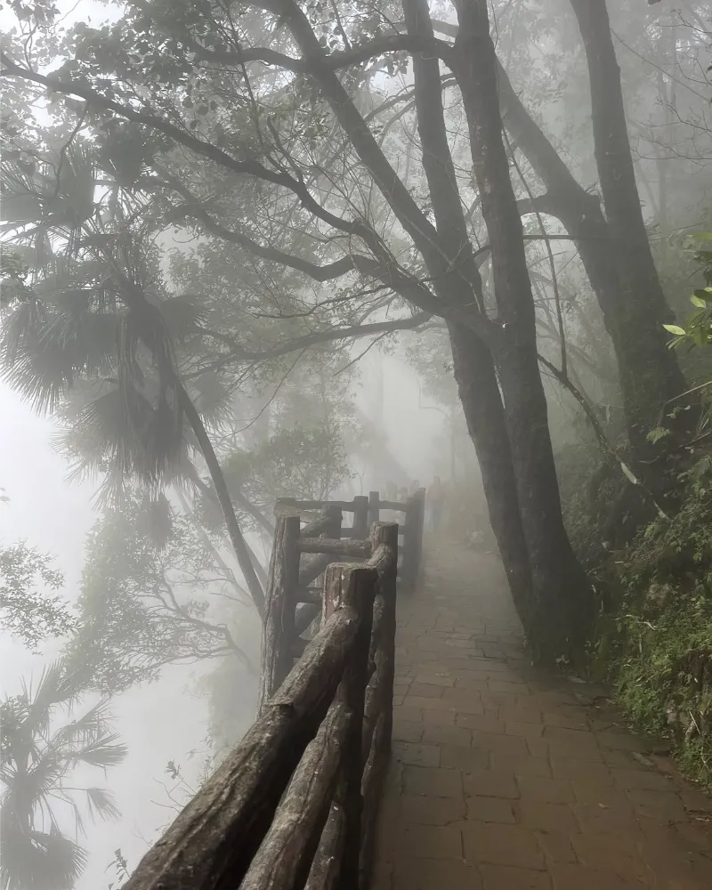 Cherrapunji (Sohra) image 5