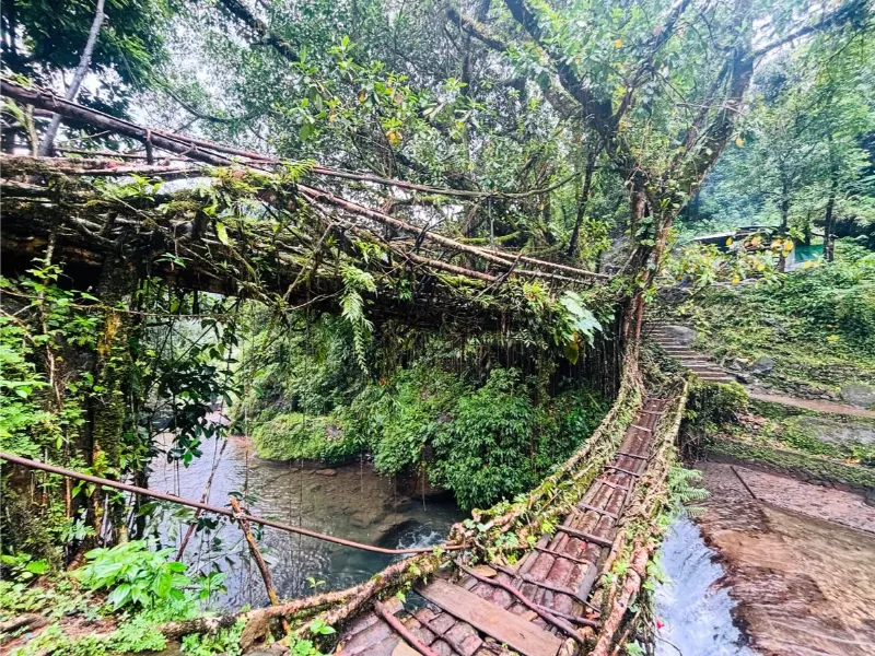 Double Decker Living Root Bridge (Nongriat) image 4