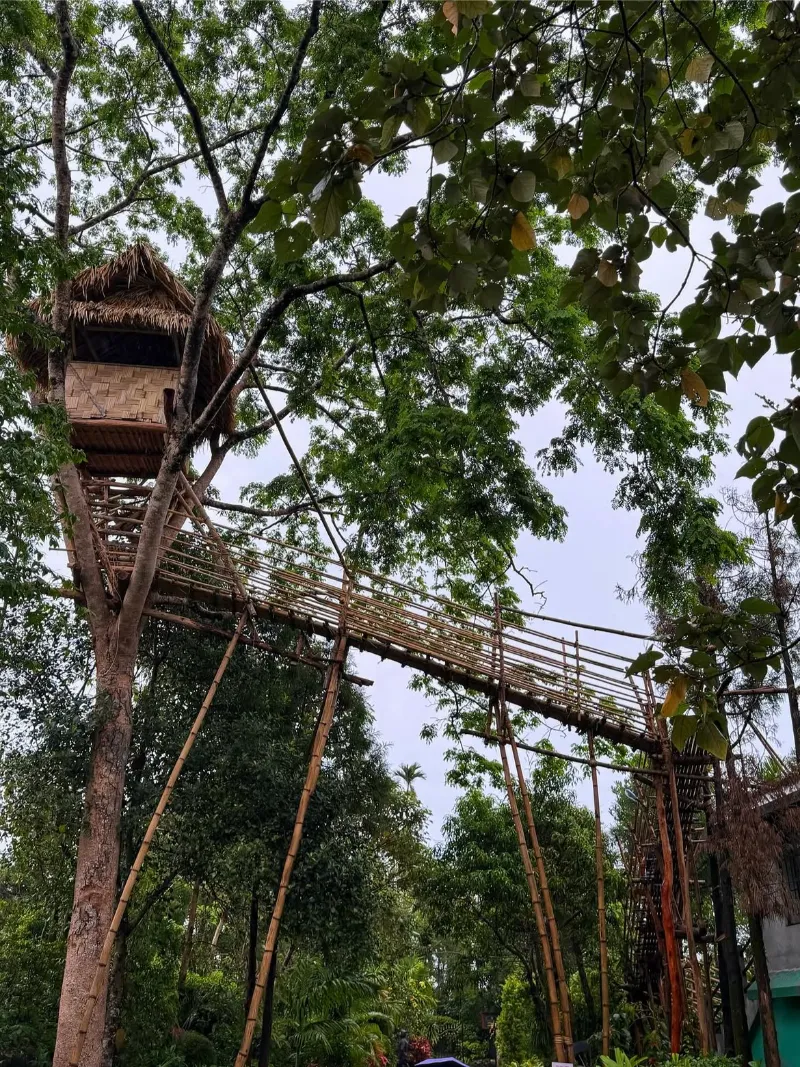 Mawlynnong image 1