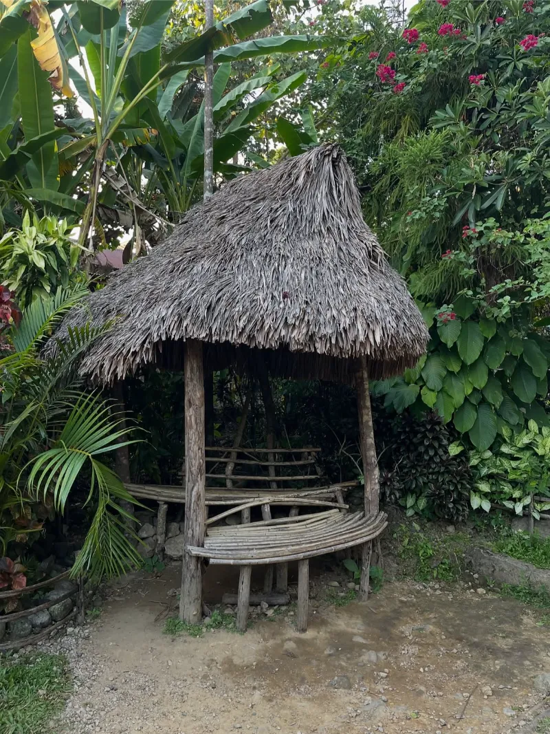 Mawlynnong image 2