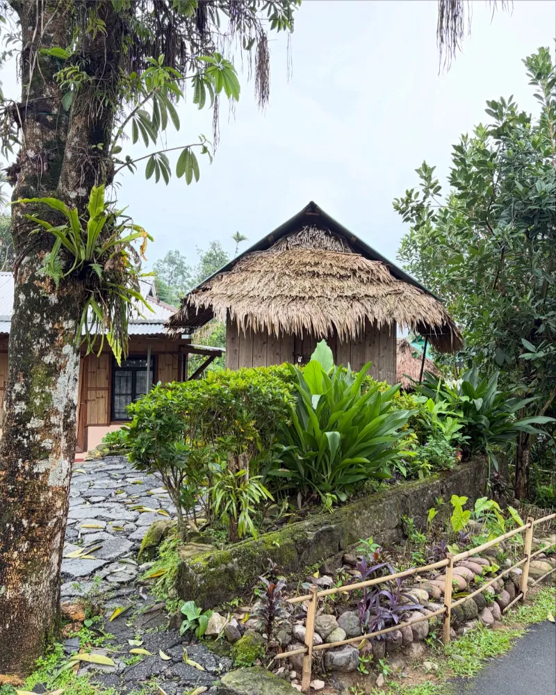 Mawlynnong image 5