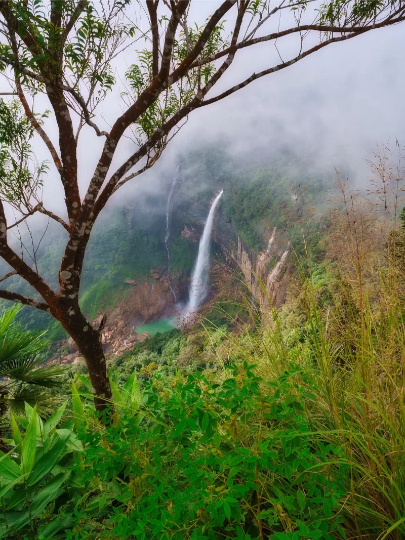 Nohkalikai Falls image 4