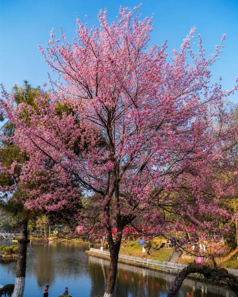 Shillong image 4