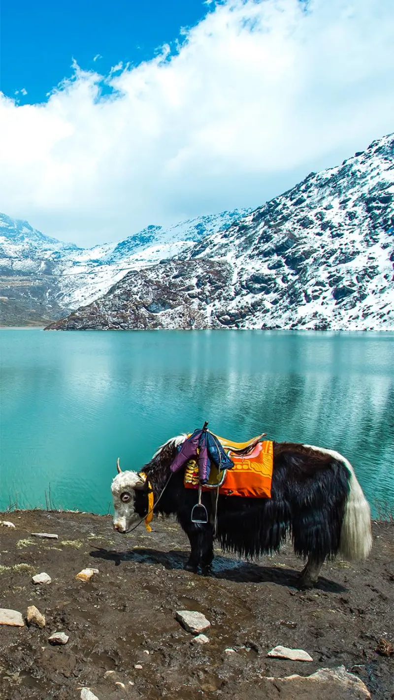 Sikkim image 4