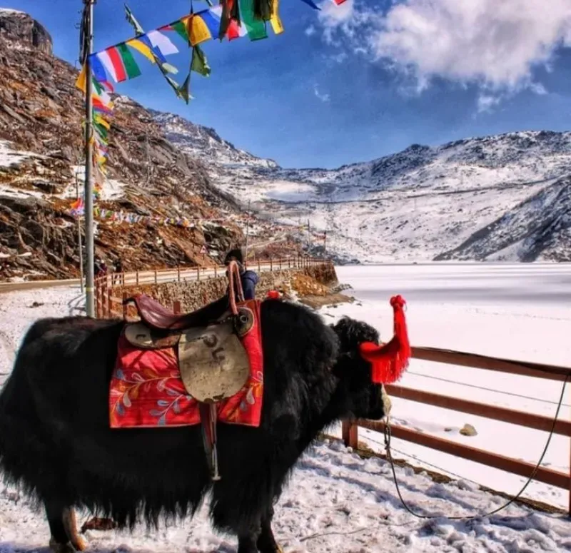 Sikkim destination