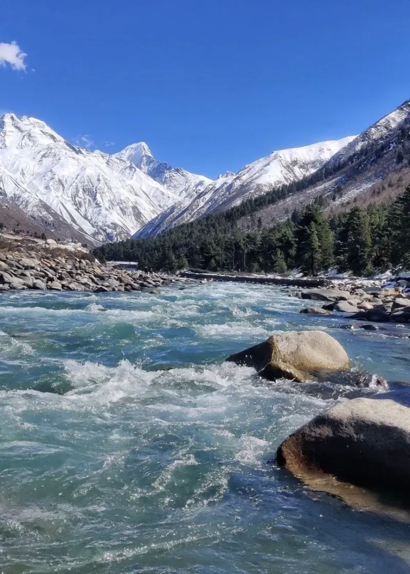 Yumthang Valley image 2