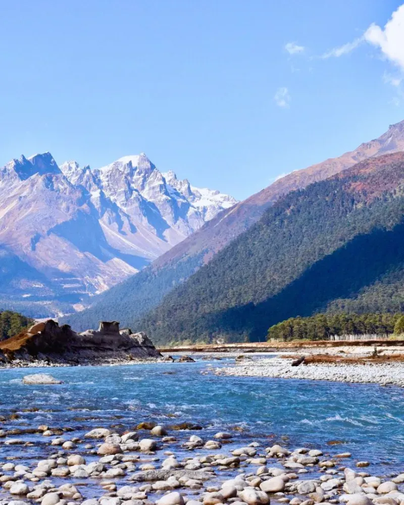 Yumthang Valley image 3