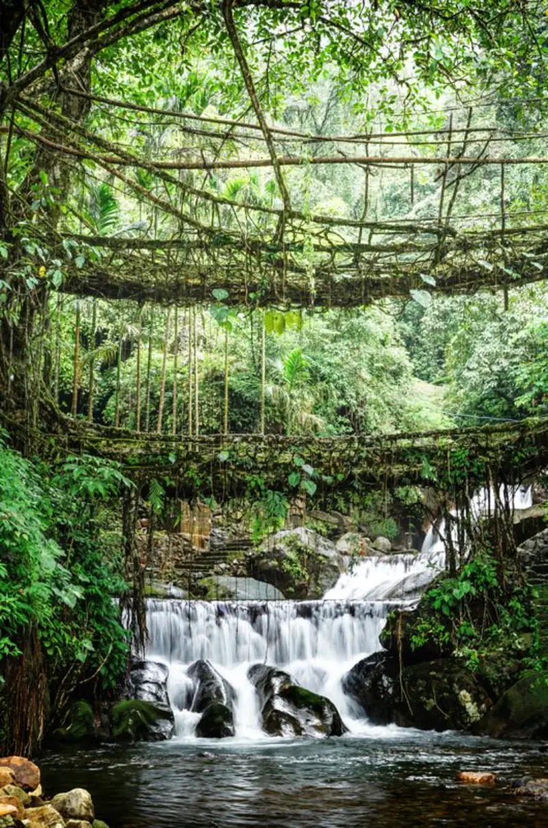 Meghalaya