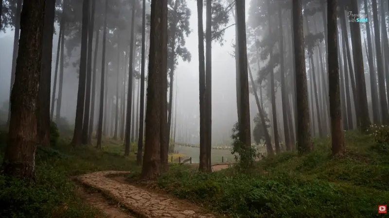 Darjeeling landscape