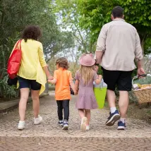 Family travel package category