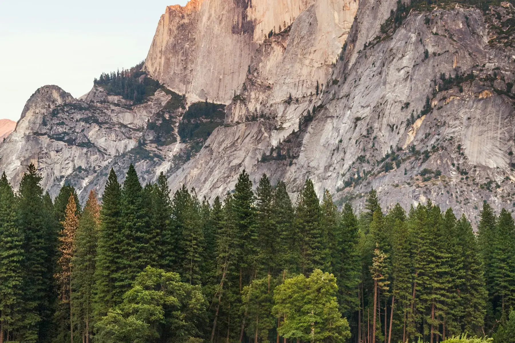 Green valley scenery; illustrative photograph